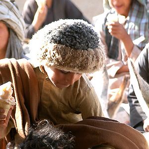 Bilder Two-Legged Horse