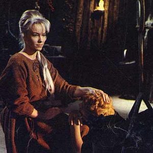 Bilder Eine Handvoll blanker Messer