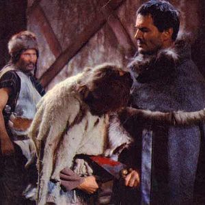 Bilder Eine Handvoll blanker Messer