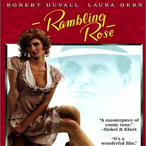 Bilder Die Lust der schönen Rose