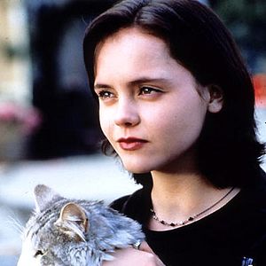 Bilder Dieser verflixte Kater