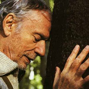 Bilder IP5 - Insel der Dickhäuter