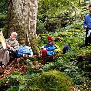 Bilder IP5 - Insel der Dickhäuter