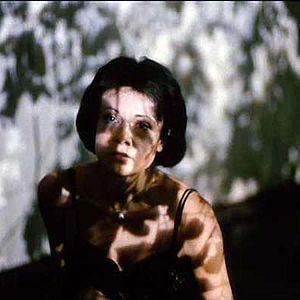 Bilder Yevgenia Dobrovolskaya