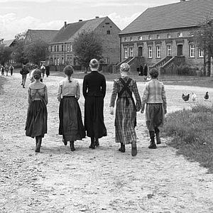 Bilder Das weiße Band