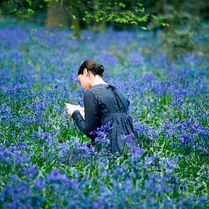 Bilder Bright Star - Die erste Liebe strahlt am hellsten