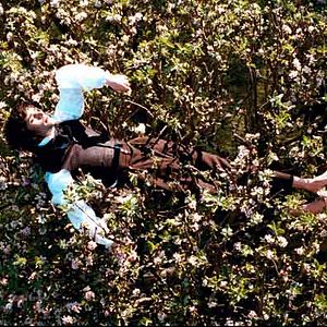 Bilder Bright Star - Die erste Liebe strahlt am hellsten