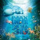 Bilder Under The Sea