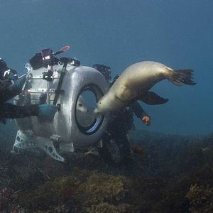 Bilder Under The Sea