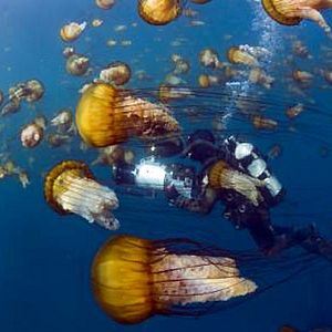 Bilder Unsere Ozeane