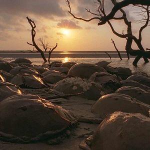 Bilder Unsere Ozeane