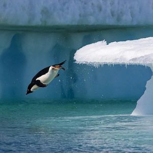 Bilder Unsere Ozeane