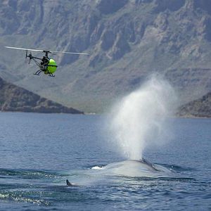 Bilder Unsere Ozeane