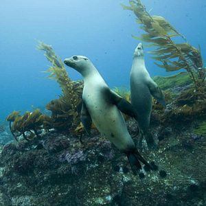 Bilder Unsere Ozeane