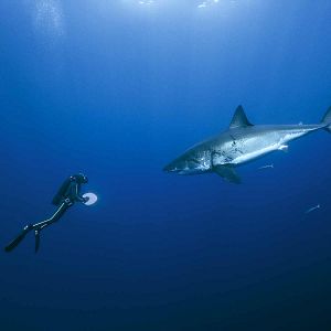 Bilder Unsere Ozeane