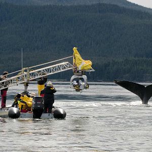 Bilder Unsere Ozeane