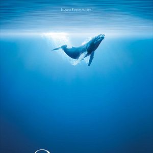 Bilder Unsere Ozeane