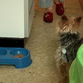 Bilder Wasser und Seife