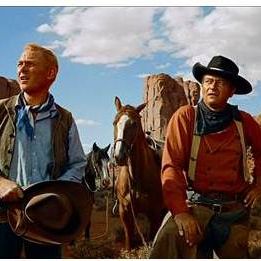 Bilder Der Schwarze Falke