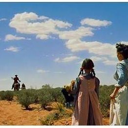 Bilder Der Schwarze Falke