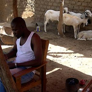 Bilder Christian Zerbib