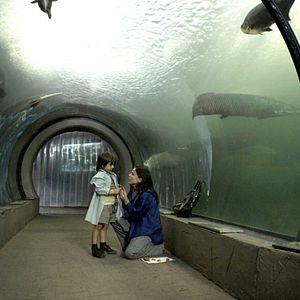 Bilder Hierro - Insel der Angst