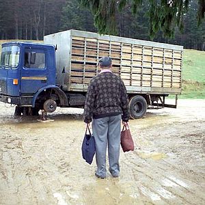 Bilder Tales from the Golden Age