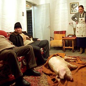 Bilder Tales from the Golden Age