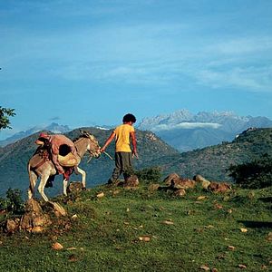 Bilder Die Reisen des Windes