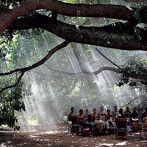 Bilder Die Reisen des Windes