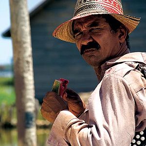 Bilder Die Reisen des Windes