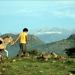 Bilder Die Reisen des Windes