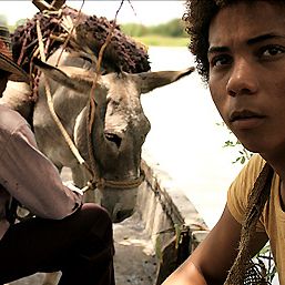 Bilder Die Reisen des Windes