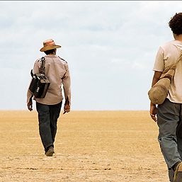 Bilder Die Reisen des Windes