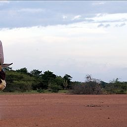 Bilder Die Reisen des Windes