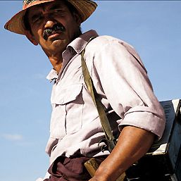 Bilder Die Reisen des Windes