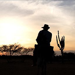 Bilder Die Reisen des Windes