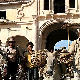 Bilder Die Reisen des Windes