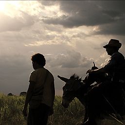 Bilder Die Reisen des Windes