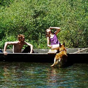 Bilder Au Voleur - A Real Life