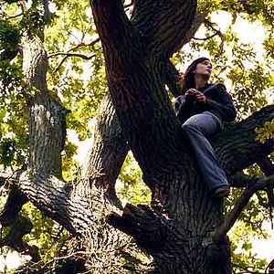 Bilder Au Voleur - A Real Life