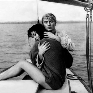 Bilder Das Messer im Wasser