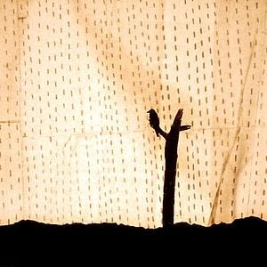 Bilder Johannes Nyholm