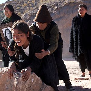 Bilder Peter Brosens