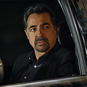 Bilder Joe Mantegna