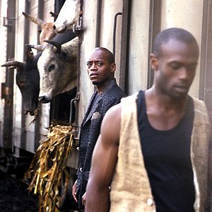 Bilder Eliane de Latour