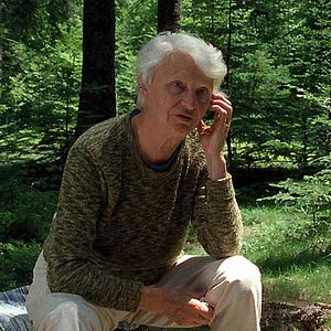 Bilder Michel Gondry