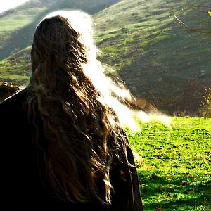 Bilder Shahram Alidi