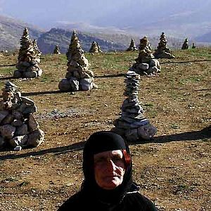 Bilder Shahram Alidi