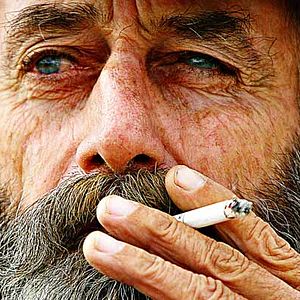 Bilder Shahram Alidi